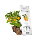 The German Outlet, Click & Grow, Click&Grow Refill - Mini Tomatoes