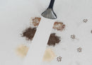 Spot Cleaner & Stain Remover Wash & Dry (Carpet Cleaner)