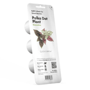 The German Outlet, Click & Grow, Click&Grow Refill - Edible Flowers, Click&Grow Refill - Edible Flowers